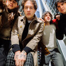 Beach Fossils